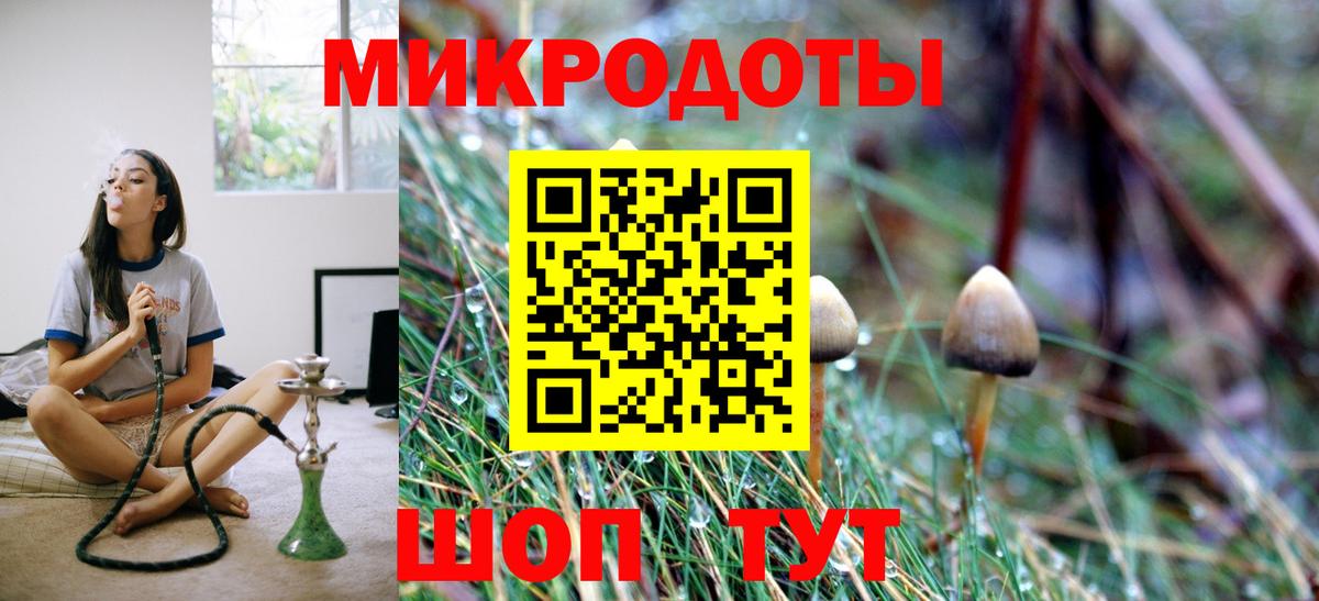 Заречный  Псилоцибиновые грибы Psilocybe  Вход с VPN  Галлюциногенные грибы мицелий 
